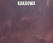 kakaowa-1.jpg