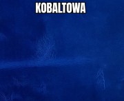kobaltowa-1-1.jpg
