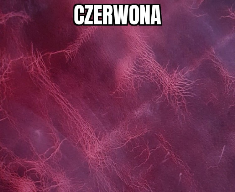 czerwona-1.jpg