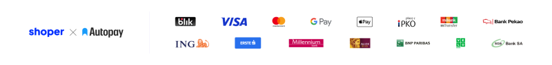 payment methods: Visa, mastercard, paypay, google pay, apple pay